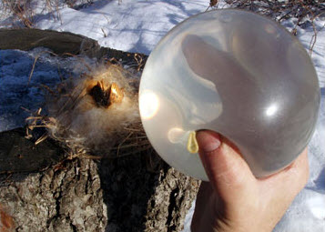 Balloon lens for igniting fire