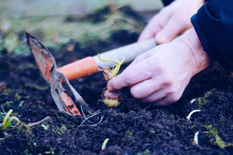 How to Design and Grow Your Survival Garden - RangerMade