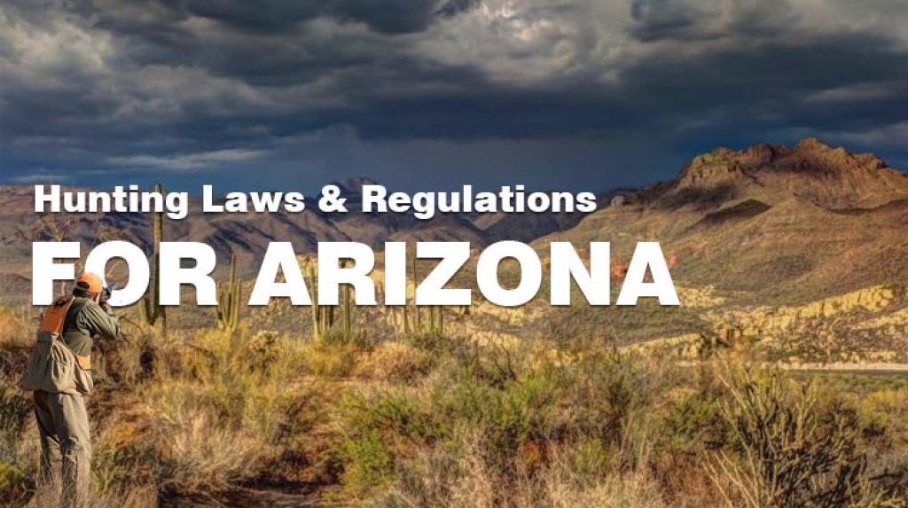 Hunting in Arizona Laws & Regulations to Know RangerMade