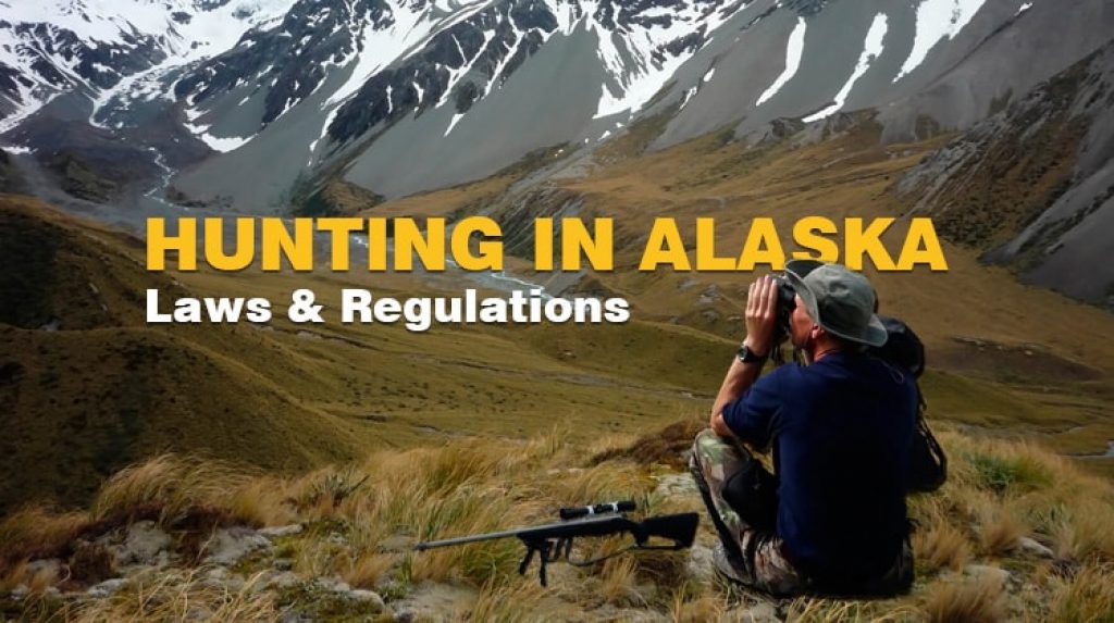 Everything about Laws&Regulations on Hunting in Alaska RangerMade