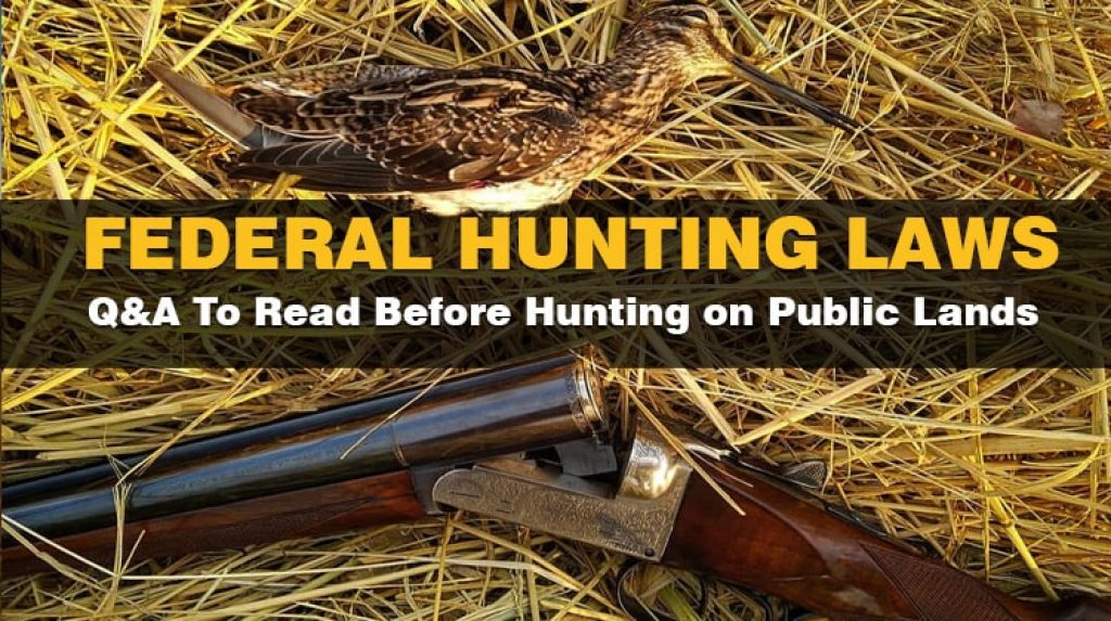 Federal Hunting LawsAll Questions & Answer to Read Before Hunting on