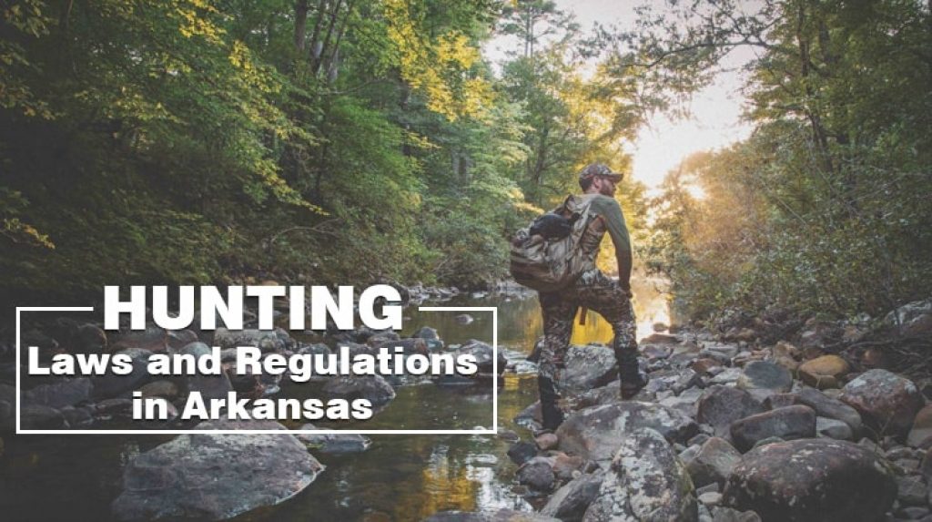 Hunting Laws and Regulations in Arkansas RangerMade