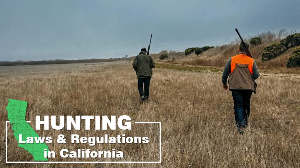 Hunting Laws and Regulations in California RangerMade