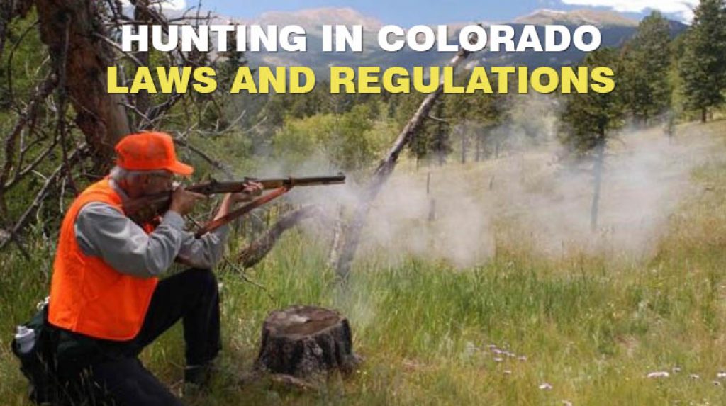 Hunting Laws and Regulations in Colorado RangerMade