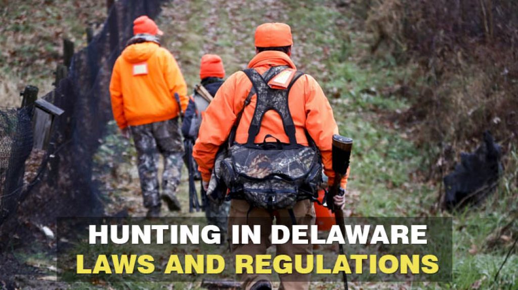 Hunting Laws and Regulations in Delaware RangerMade