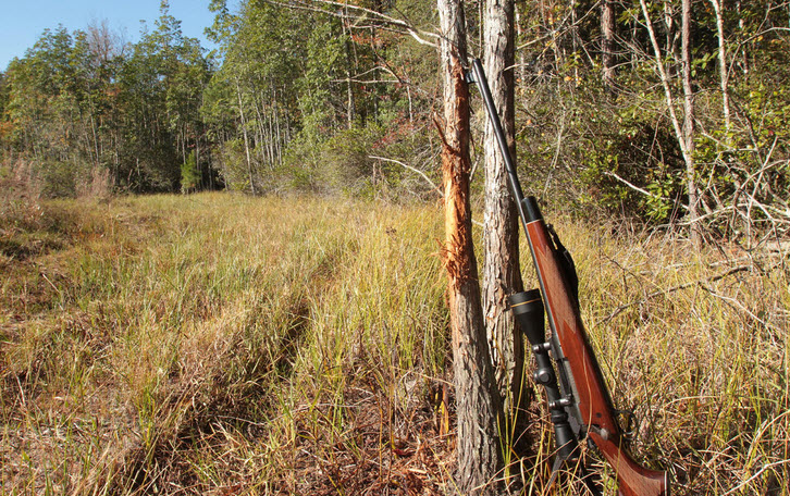 Hunting in Kentucky- The Essentials & Fundamental Tips to Know